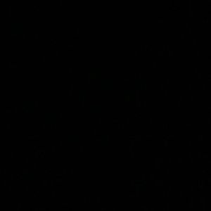 Meet your Posher, Priscille